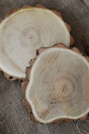 Baumscheibe Akazie Naturdeko Kreativsein Basteln Dekoidee