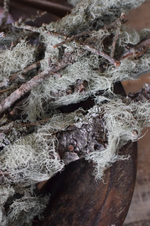 Bemooste Greenery Zweige Flechten Kreativmaterial Naturdeko im Mrs Greenery Shop bestellen