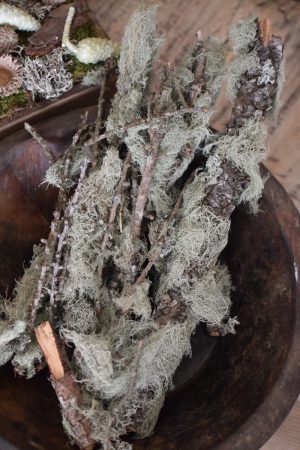 Bemooste Greenery Zweige Flechten Kreativmaterial Naturdeko im Mrs Greenery Shop bestellen
