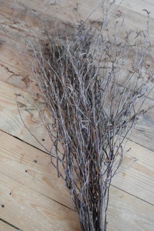 Birkenreisig mit Früchten Birke Zweige Birkenzweige kreativsein Kranzbinden Frühling Ostern im Mrs Greenery Shop bestellen