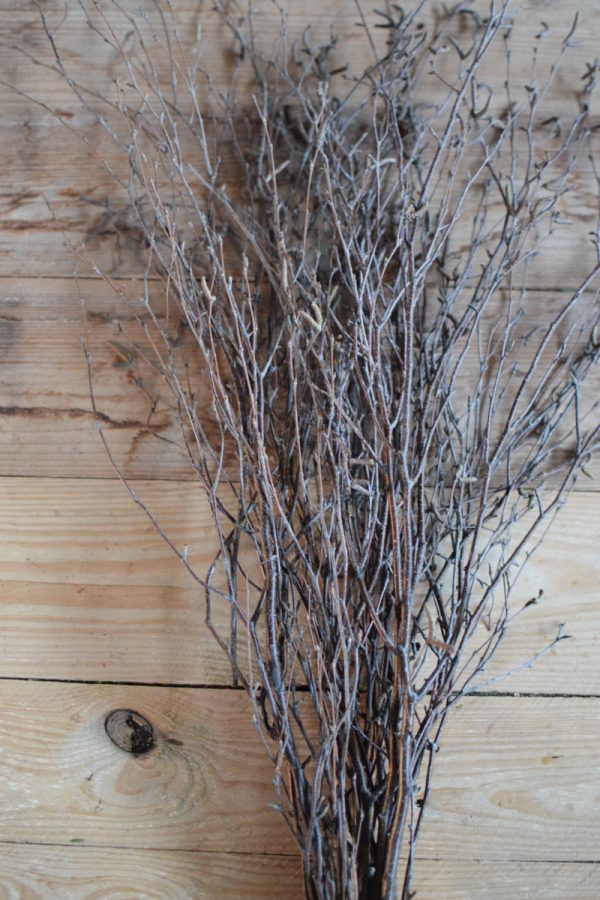 Birkenreisig mit Früchten Birke Zweige Birkenzweige kreativsein Kranzbinden Frühling Ostern im Mrs Greenery Shop bestellen