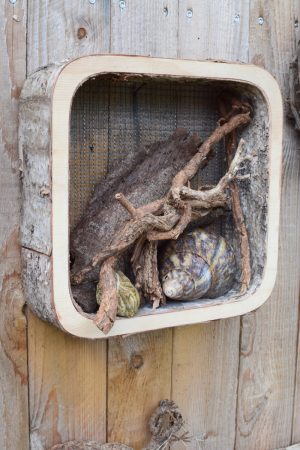 Birken Wandhänger 4er Set- Rahmen aus Birkenfurnier mit Drahtgitter. Dekoidee mit Naturmaterialen aus dem Mrs Greenery Shop. Dekoidee Wanddeko natürlich dekorieren