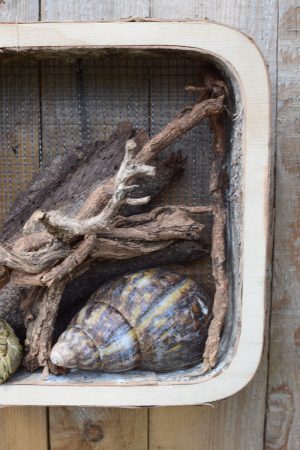 Birken Wandhänger 4er Set- Rahmen aus Birkenfurnier mit Drahtgitter. Dekoidee mit Naturmaterialen aus dem Mrs Greenery Shop. Dekoidee Wanddeko natürlich dekorieren