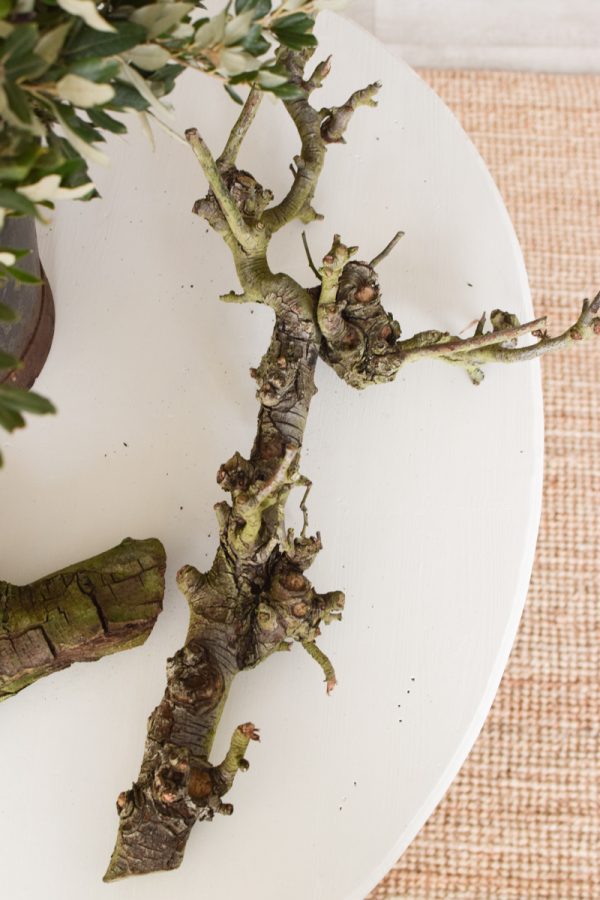 Birnenäste Ast Geäst Dekoholz Holz Obstbaum Obstgehölz DIY Naturdeko im Mrs Greenery Shop bestellen