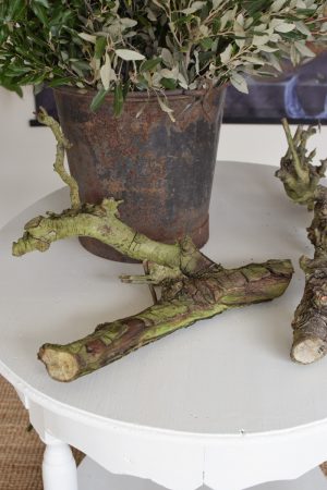 Birnenäste Ast Geäst Dekoholz Holz Obstbaum Obstgehölz DIY Naturdeko im Mrs Greenery Shop bestellen