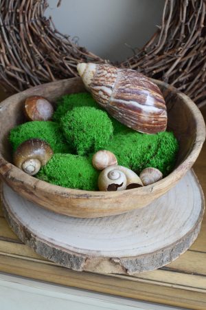 Bollenmoos Moos konserviert zum Basteln im Mrs Greenery Shop bestellen