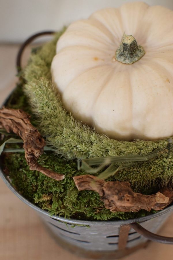 Deko mit Trockenblumen: Borstenhirse getrocknet. Setaria. Kranzbinden Deko mit Naturmaterialien Kürbis Baby Boo Dekoidee Herbst Herbstdeko
