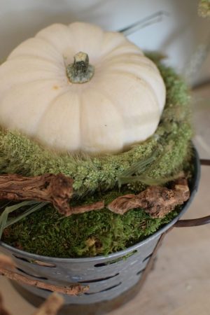 Deko mit Trockenblumen: Borstenhirse getrocknet. Setaria. Kranzbinden Deko mit Naturmaterialien Kürbis Baby Boo Dekoidee Herbst Herbstdeko