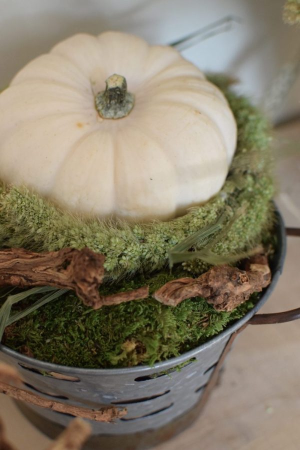 Deko mit Trockenblumen: Borstenhirse getrocknet. Setaria. Kranzbinden Deko mit Naturmaterialien Kürbis Baby Boo Dekoidee Herbst Herbstdeko