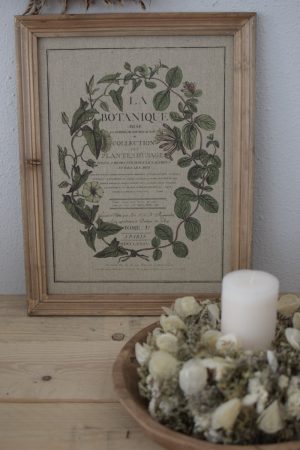 Botanische Drucke Blumenbild Holz Jute Bild Motiv Blumen im Mrs Greenery Shop kaufen bestellen Naturdeko Deko natürlich dekorieren