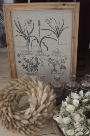 Botanische Drucke Blumenbild Holz Jute Bild Motiv Blumen im Mrs Greenery Shop kaufen bestellen Naturdeko Deko natürlich dekorieren
