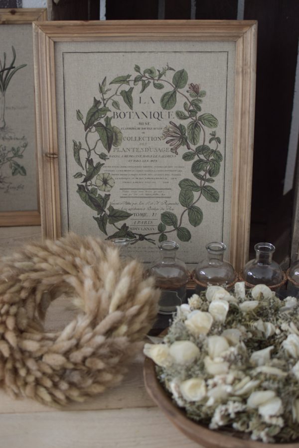 Botanische Drucke Blumenbild Holz Jute Bild Motiv Blumen im Mrs Greenery Shop kaufen bestellen Naturdeko Deko natürlich dekorieren