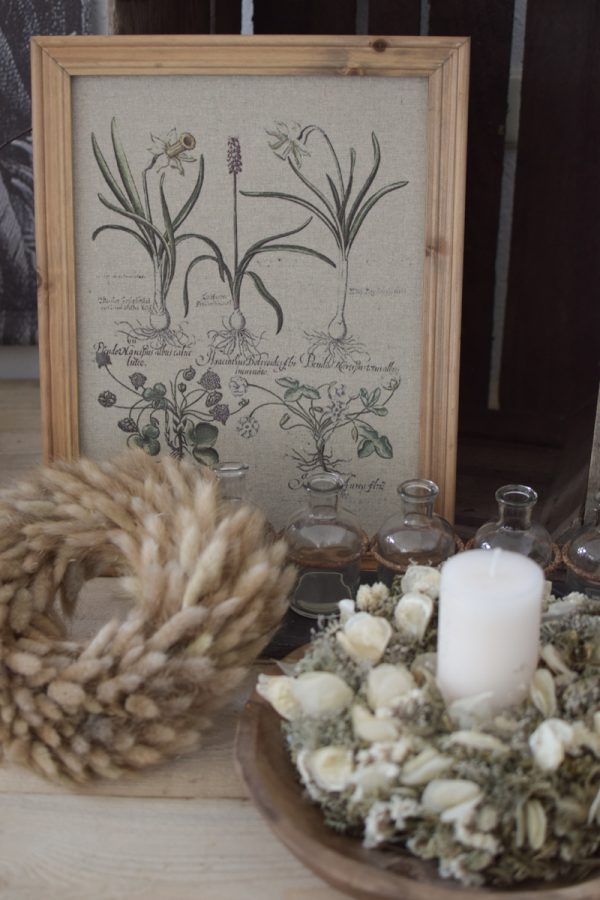 Botanische Drucke Blumenbild Holz Jute Bild Motiv Blumen im Mrs Greenery Shop kaufen bestellen Naturdeko Deko natürlich dekorieren
