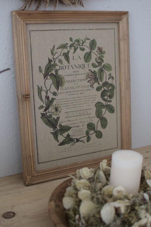 Botanische Drucke Blumenbild Holz Jute Bild Motiv Blumen im Mrs Greenery Shop kaufen bestellen Naturdeko Deko natürlich dekorieren