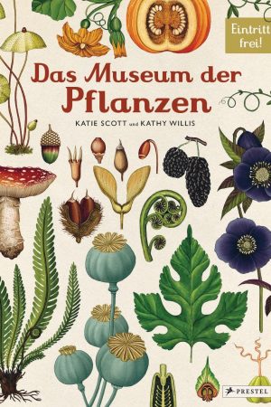 buch Katie Scott, Kathy Willis Das Museum der Pflanzen mrs Greenery shop bestellen kaufen