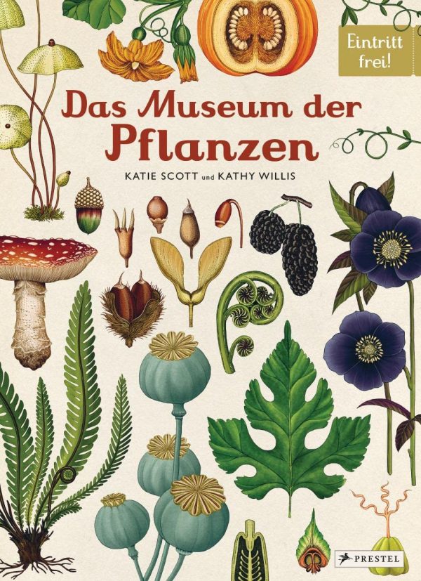 buch Katie Scott, Kathy Willis Das Museum der Pflanzen mrs Greenery shop bestellen kaufen