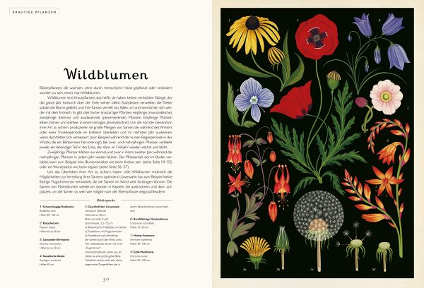 buch Katie Scott, Kathy Willis Das Museum der Pflanzen mrs Greenery shop bestellen kaufen