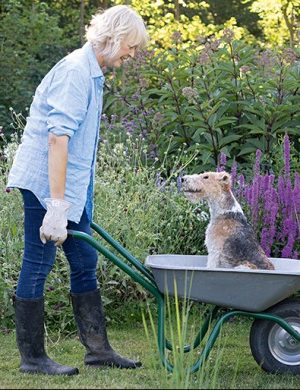 buch Vom Glück, mit Hunden zu leben mrs Greenery shop bestellen kaufen