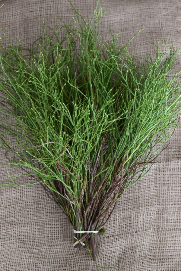 Heidelbeere Bund kaufen und dekorieren. Naturdeko selber machen. Natürlich dekorieren und Kränze binden im Mrs Greenery Shop bestellen kaufen