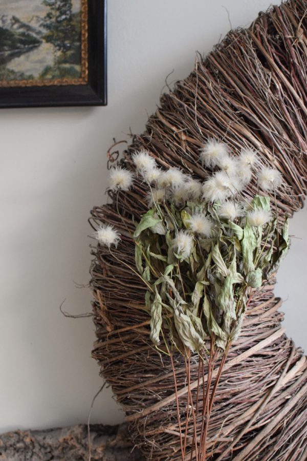 Clematis getrocknet Trockenblumen im Bund im Mrs Greenery Shop bestellen kaufen