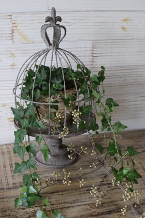 Dekokäfig aus Metall Vintage Metallkäfig gloche Metallglocke Deko Plattenhalter Vintage deko Dekoidee Mrs Greenery Shop