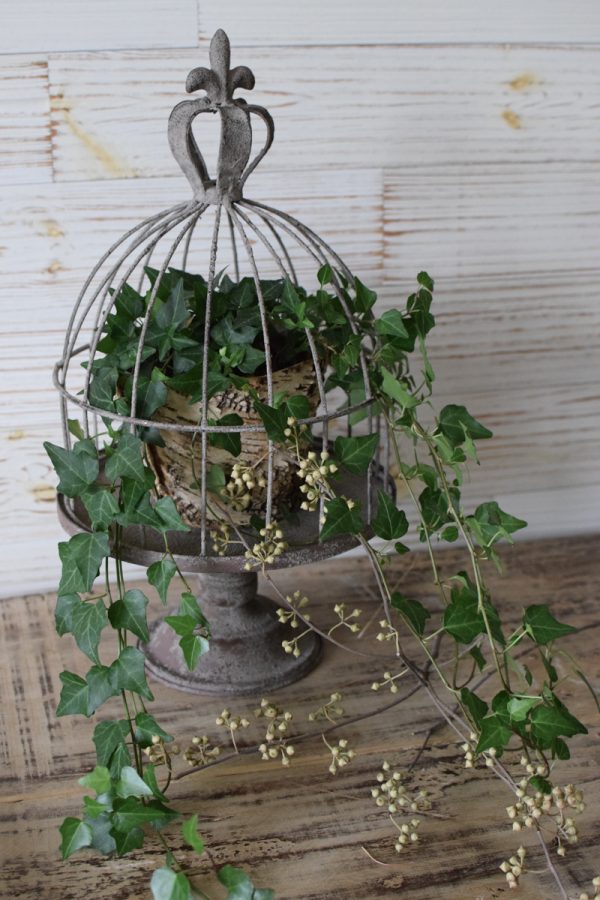 Dekokäfig aus Metall Vintage Metallkäfig gloche Metallglocke Deko Plattenhalter Vintage deko Dekoidee Mrs Greenery Shop