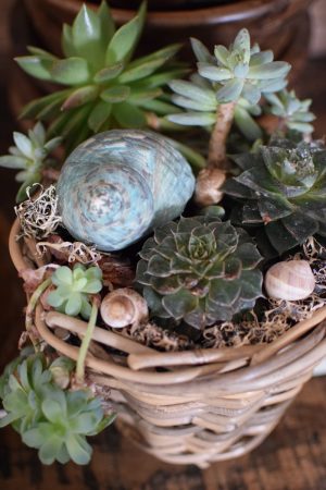 Dekoschnecke Schnecke Schneckenhaus tuerkis blau Sommerdeko im Mrs Greenery Shop bestellen kaufen