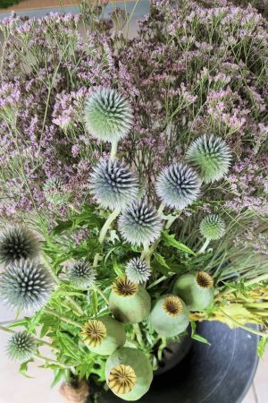Frische Kugeldistel für deine Naturdekoideen. Distel rund im Mrs Greenery Shop bestellen kaufen