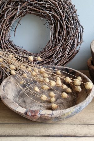 Erdbeerdistel getrocknet Distel Trockenblumen kreativsein und basteln. Im Mrs Greenery Shop bestellen kaufen