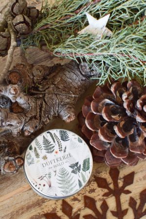 Duftkerze Winterwald Kerze Ducht Waldduft im Mrs Greenery Shop bestellen kaufen