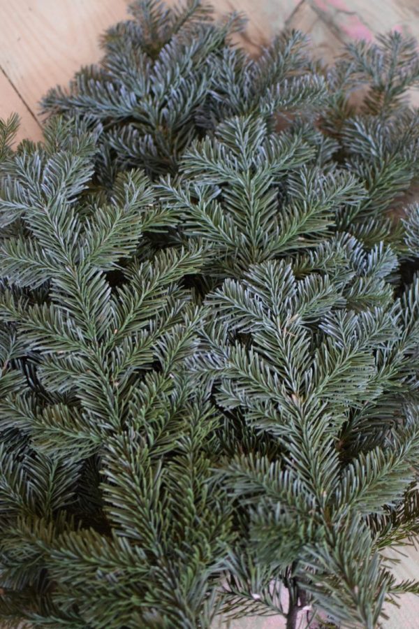 deltanne Tanne Wintergruen Bund Tannengruen Kranz Kränze binden Weihnachtsgrün Deko