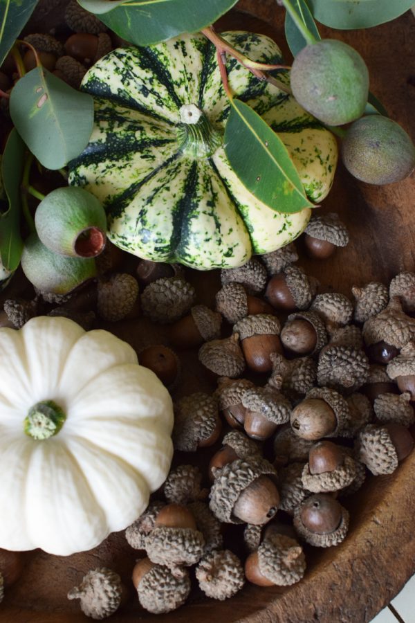 Herbstdeko mit weissen Kürbissen. Baby Boo mit Dattelzweigen und Eicheln Der Klassiker der Herbstdeko. Jetzt bestellen! Kürbis Mrs Greenery Shop