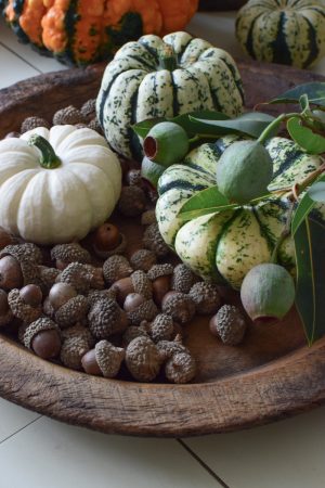 Herbstdeko mit weissen Kürbissen. Baby Boo mit Dattelzweigen und Eicheln Der Klassiker der Herbstdeko. Jetzt bestellen! Kürbis Mrs Greenery Shop