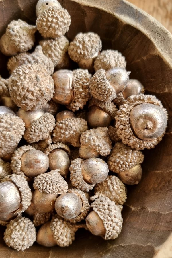 Eicheln echt Natur in gold gefärbt Herbstdeko Naturdeko im Mrs Greenery Shop bestellen kaufen
