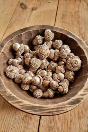 Eicheln echt Natur in gold gefärbt Herbstdeko Naturdeko im Mrs Greenery Shop bestellen kaufen