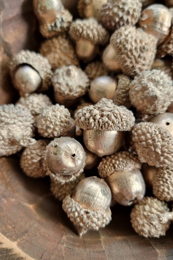 Eicheln echt Natur in gold gefärbt Herbstdeko Naturdeko im Mrs Greenery Shop bestellen kaufen