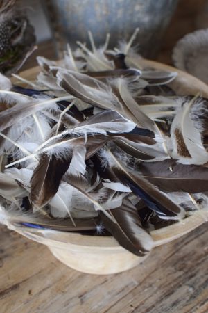 Entenfedern Federn Naturdeko Osterdeko kreativ kreativsein Ostern im Mrs Greenery Shop bestellen