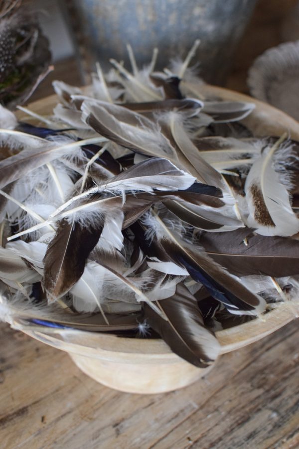 Entenfedern Federn Naturdeko Osterdeko kreativ kreativsein Ostern im Mrs Greenery Shop bestellen
