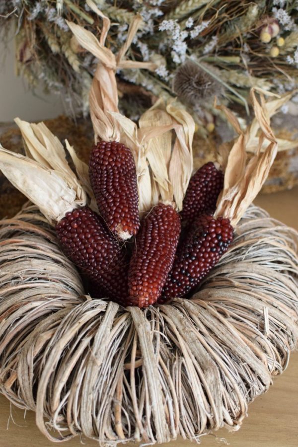 Mais getrocknet für deine Herbstdeko: Mini Erdbeermais in roten Tönen. Dekoidee Herbst Mais