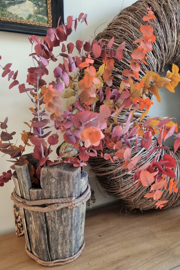 Eukalyptus gefärbt Farbe eingefärbt Bund Zweige im Mrs Greenery Shop bestellen kaufen