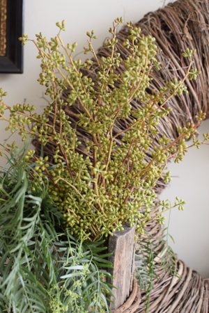 Eukalyptus Früchte midi Bund Zweige im Mrs Greenery Shop bestellen kaufen