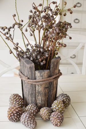 Eukalyptus Früchte klein am Zweig Eucalyptus Naturdeko Deko mit Naturmaterialien Pinienzapfen Zapfen Pinien im Mrs Greenery Shop bestellen