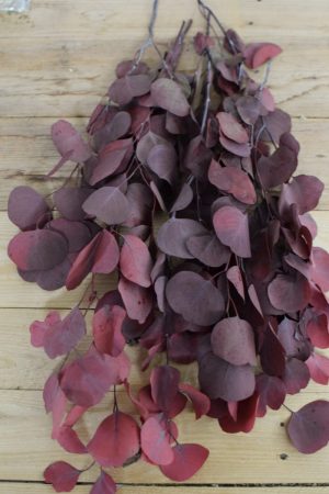 Deko mit Trockenblumen: Eukalyptus populus eucalyptus konserviert Kranzbinden Deko mit Naturmaterialien
