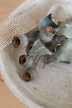 Eukalyptus Zweig mit Früchten Kapseln getrocknet. Trockenblumen im Mrs Greenery Shop bestellen kaufen