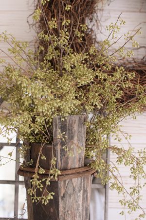 Eukalyptus Früchte Mini klein im Mrs Greenery Shop bestellen Eucalyptus Frucht kreativ