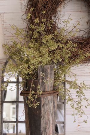 Eukalyptus Früchte Mini klein im Mrs Greenery Shop bestellen Eucalyptus Frucht kreativ