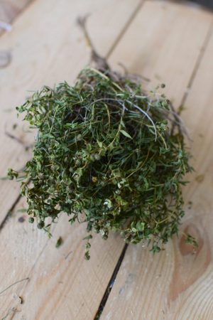 Euphorbia Spinoza grün getrocknet. Für deine Naturdekoideen. Naturdeko Greenery