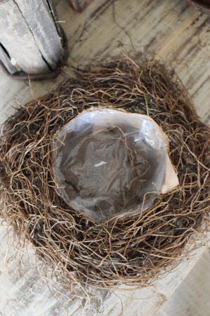 Pflanzkorb Pflanzschale Farnwurzel Naturschale wasserdicht im Mrs Greenery Shop bestellen kaufen