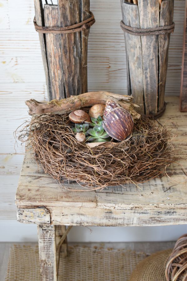 Pflanzkorb Pflanzschale Farnwurzel Naturschale wasserdicht im Mrs Greenery Shop bestellen kaufen