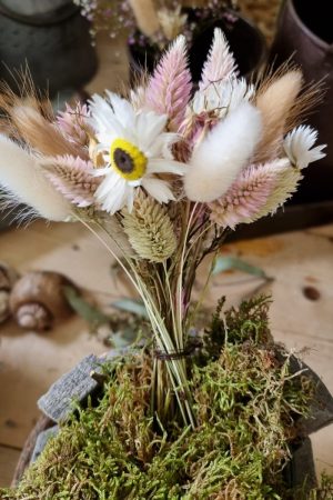 Federbusch Celosia getrocknet pink rosa Trockenblumen im Mrs Greenery Shop bestellen Arrangement Blumendeko Blumenstrauss